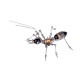 100pcs golden ant diy model exquisite jewelry mini ornaments 100pcs golden ant diy model exquisite jewelry mini ornaments