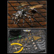 126pcs 3d metal wasp assembly diy mechanical kit educational toy 126pcs 3d metal wasp assembly diy mechanical kit educational toy