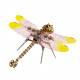 150pcs 3d metal golden dragonfly model building kit 150pcs 3d metal golden dragonfly model building kit