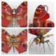 150pcs steampunk 3d tiger swallowtail butterfly model assembly diy kit 150pcs steampunk 3d tiger swallowtail butterfly model assembly diy kit