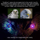 1800+pcs cyberpunk diy 3d metal gyrfalcon eagle model kits 1800+pcs cyberpunk diy 3d metal gyrfalcon eagle model kits