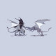 2pcs diy stainless steel ice dragon 3d assembled model crafts 2pcs diy stainless steel ice dragon 3d assembled model crafts