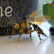 300pcs+ steampunk wasp model building kit full set 300pcs+ steampunk wasp model building kit full set
