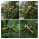 300pcs+ steampunk wasp model building kit full set 300pcs+ steampunk wasp model building kit full set