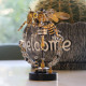 300pcs+ steampunk wasp model building kit full set 300pcs+ steampunk wasp model building kit full set
