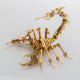 3d metal puzzle scorpion diy model kit detachable 3d jigsaw puzzles 3d metal puzzle scorpion diy model kit detachable 3d jigsaw puzzles