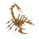 3d metal puzzle scorpion diy model kit detachable 3d jigsaw puzzles 3d metal puzzle scorpion diy model kit detachable 3d jigsaw puzzles