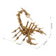 3d metal puzzle scorpion diy model kit detachable 3d jigsaw puzzles 3d metal puzzle scorpion diy model kit detachable 3d jigsaw puzzles