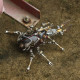 3pcs 3d metal unicorn assembly model diy mechanical kit 3pcs 3d metal unicorn assembly model diy mechanical kit