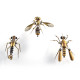 3pcs steampunk mini insect metal model home decoration 3pcs steampunk mini insect metal model home decoration