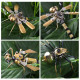 3pcs steampunk mini insect metal model home decoration 3pcs steampunk mini insect metal model home decoration