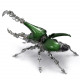 588pcs+ mechanical dynastes large beetle 3d metal model kits -standard version 588pcs+ mechanical dynastes large beetle 3d metal model kits -standard version