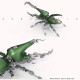 588pcs+ mechanical dynastes large beetle 3d metal model kits -standard version 588pcs+ mechanical dynastes large beetle 3d metal model kits -standard version