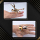 7pcs exquisite mini mechanical insect christmas gift box set educational toy gift 7pcs exquisite mini mechanical insect christmas gift box set educational toy gift