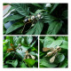 7pcs exquisite mini mechanical insect christmas gift box set educational toy gift 7pcs exquisite mini mechanical insect christmas gift box set educational toy gift