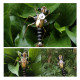 90pcs+ steampunk insect mini metal creative crafts 90pcs+ steampunk insect mini metal creative crafts