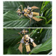 90pcs+ steampunk insect mini metal creative crafts 90pcs+ steampunk insect mini metal creative crafts