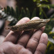 arowana shape box cutter multi-functional fish key chain arowana shape box cutter multi-functional fish key chain