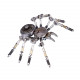 diy assembled building model kit metal clock spider model ornaments home office decor art creative gift diy assembled building model kit metal clock spider model ornaments home office decor art creative gift