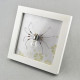 diy handmade electronic 4 spiders kits toys glow light decor - transparent + orange + red + blue diy handmade electronic 4 spiders kits toys glow light decor - transparent + orange + red + blue