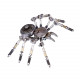 diy metal spider model assembly kit for adults/kids 8+ diy metal spider model assembly kit for adults/kids 8+