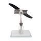 enjomor aircraft free-piston stirling engine motor toy enjomor aircraft free-piston stirling engine motor toy