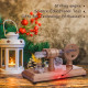enjomor gamma led hot air stirling engine model enjomor gamma led hot air stirling engine model