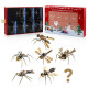 exquisite mechanical insect assembly model week series christmas gift set exquisite mechanical insect assembly model week series christmas gift set