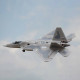 freewing f-22 raptor rc 64mm edf plane pnp epo airplane model freewing f-22 raptor rc 64mm edf plane pnp epo airplane model
