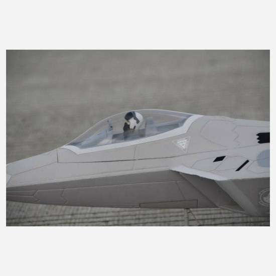 freewing f-22 raptor rc 64mm edf plane pnp epo airplane model freewing f-22 raptor rc 64mm edf plane pnp epo airplane model