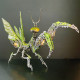 mechanical metal 3d diy mantis assembly model building kits 1000+pcs mechanical metal 3d diy mantis assembly model building kits 1000+pcs
