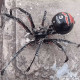 post-apocalyptic destroyed big black spider 3d diy assembly model kits post-apocalyptic destroyed big black spider 3d diy assembly model kits