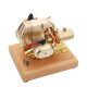 r90s gasoline flat-twin four-stroke miniature motorcycle engine model 3.2cc ice engine r90s gasoline flat-twin four-stroke miniature motorcycle engine model 3.2cc ice engine