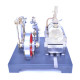 retrol diy steam beam engine model with boiler & centrifugal flyball governor model assembly kit retrol diy steam beam engine model with boiler & centrifugal flyball governor model assembly kit