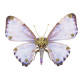 steampunk butterfly 3d metal morpho model diy kits 150pcs+ steampunk butterfly 3d metal morpho model diy kits 150pcs+