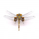 steampunk dragonfly metal model kits for her steampunk dragonfly metal model kits for her
