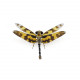 steampunk dragonfly metal model kits for her steampunk dragonfly metal model kits for her