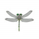steampunk dragonfly metal model kits for her steampunk dragonfly metal model kits for her