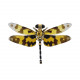 steampunk dragonfly metal model kits for her steampunk dragonfly metal model kits for her