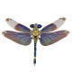steampunk dragonfly metal model kits for her steampunk dragonfly metal model kits for her