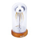 swinging diy jellyfish in a bottle 3d mechanical model for adults desktop toy swinging diy jellyfish in a bottle 3d mechanical model for adults desktop toy