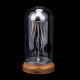 swinging diy jellyfish in a bottle 3d mechanical model for adults desktop toy swinging diy jellyfish in a bottle 3d mechanical model for adults desktop toy
