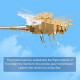 teching flying dragonfly kinetic sculpture 3d metal model diy kits teching flying dragonfly kinetic sculpture 3d metal model diy kits