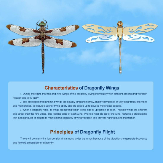 teching flying dragonfly kinetic sculpture 3d metal model diy kits teching flying dragonfly kinetic sculpture 3d metal model diy kits