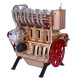 teching inline four-cylinder full aluminum alloy assembling model science education engine for collection teching inline four-cylinder full aluminum alloy assembling model science education engine for collection